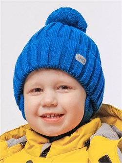 Шапка "Вася" (васильковый) 14w24-055-2