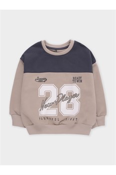 КР 302985/темно-бежевый 1304 к682 джемпер (свитшот) для мал КР 302985/темно-бежевый