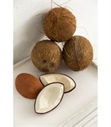 COCO THE COCONUT, прорезыватель для зубов L-CH COCO-UNIT