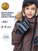 Варежки 14з17025 космос/серый  14з17025-8