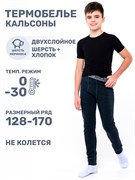 Кальсоны 2т11324 синий меланж 2т11324-2