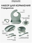 Силиконовый набор для кормления 9 предметов - Sage NK0002/250
