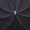 03807110-00 Зонт детский черный 03807110-00