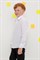 ТК 39031/белый сорочка верхняя для мальчика ТК 39031/белый сорочка