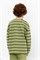 КР 302242/фисташка,полоска к428 джемпер для мальчика  КР 302242/фисташка