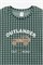 К 1598/полынь,маленькая клетка пижама детская (фуфайка дл.рукав, брюки)  К 1598/полынь