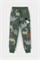 КР 400725/лесной мох,динопарк к494 брюки для мал КР 400725/лесной мох