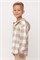 КР 302681-1/темно-бежевый,клетка виши к534 рубашка для мальчика КР 302681-1/темно-бежевый