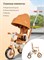Детский трехколесный велосипед Farfello 6699 (Сафари 6699) 6699/Safari
